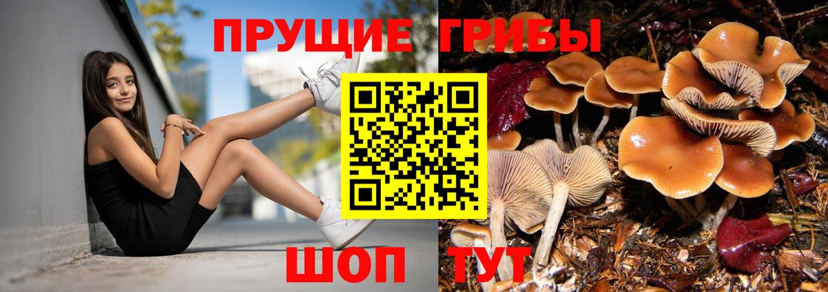 Галлюциногенные грибы GOLDEN TEACHER  Галлюциногенные грибы Psilocybe  Ростов Великий  Вход с VPN 